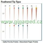 Feathered Tip - Special paper points, pkg. of 200 points